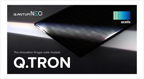 Qセルズ　Q.TRON M-G2.4+